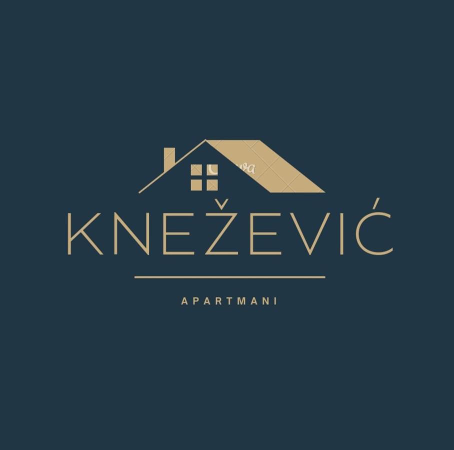 Knezevic Apartman Podgorica Exterior photo